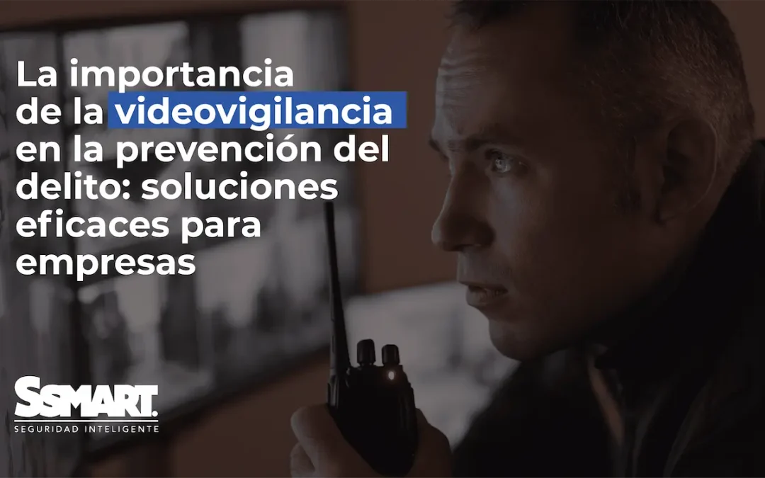 Cámaras de Seguridad: Beneficios y Protección Total 2024